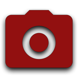 Infiniti QX50 Backup Camera